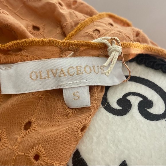 Olivaceous Mock Neck Long Sleeve Ruffled Eyelet Hobo Blouse Back Zippered NWT - Picture 5 of 9